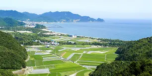 地方創生・代表メッセージ
